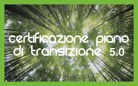 Piano Transizione 5.0